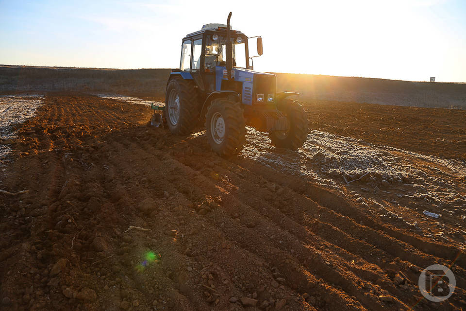 Более 130 тыс. тонн минеральных удобрений используют волгоградские аграрии
