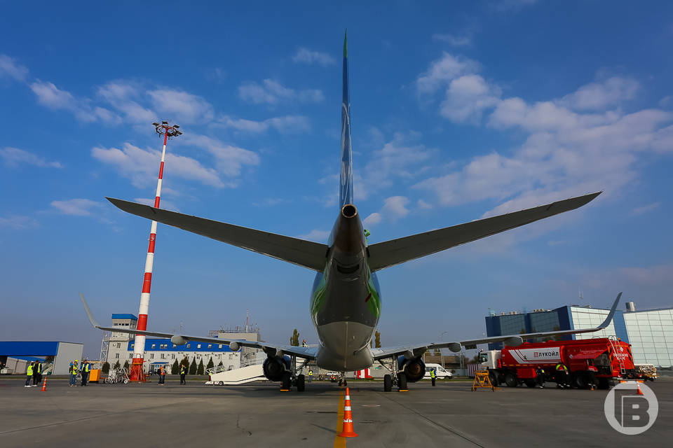 Самолет из Волгограда при посадке в Москве попал в стаю птиц
