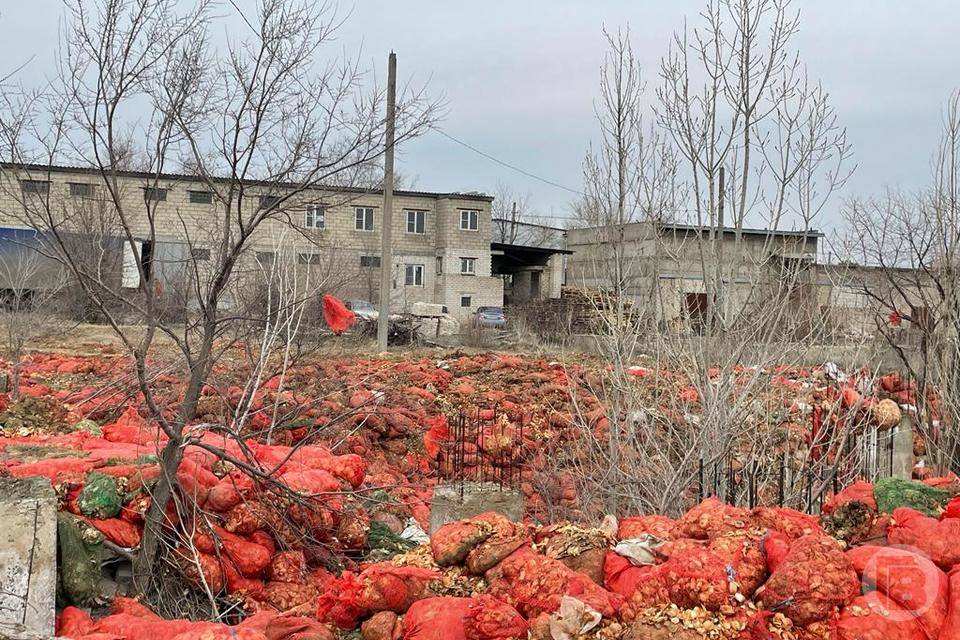 В Дзержинском районе Волгограда выявили несанкционированное луковое изобилие