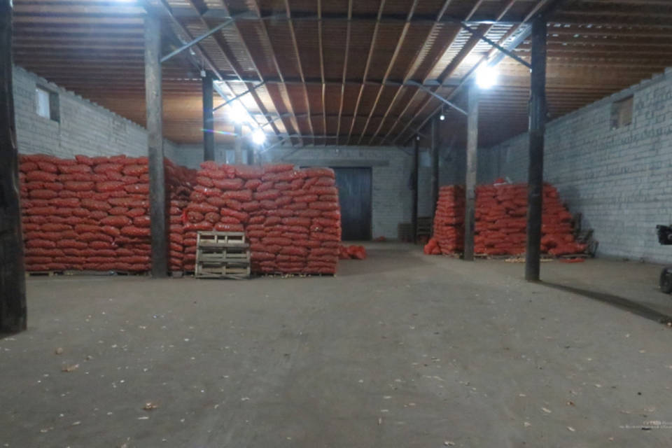 Под Волгоградом со склада фермерского хозяйства украли 7 тонн лука