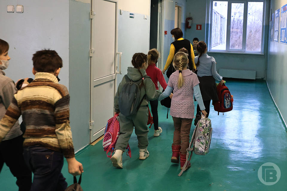 Волгоградские депутаты хотят упростить процедуру гражданства детей-иностранцев