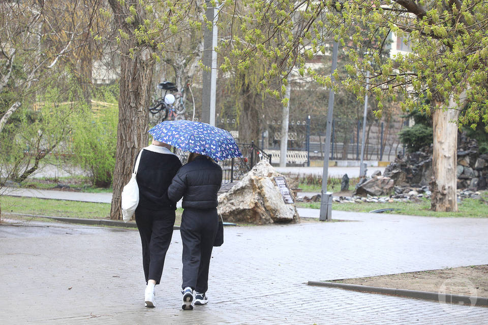 В Волгоградской области 19 апреля ожидаются грозовые дожди