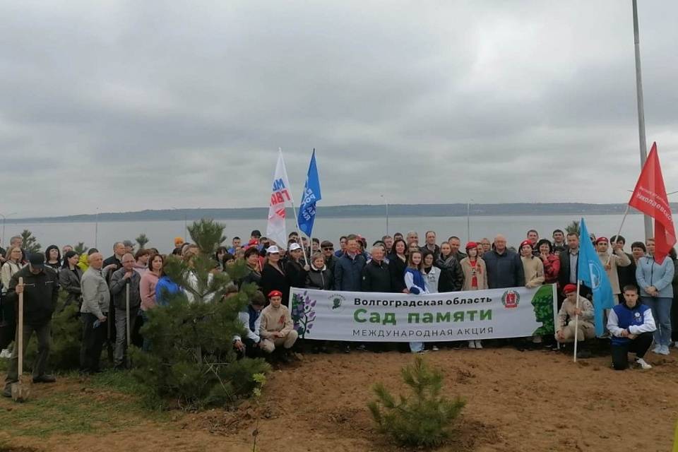 400 тысяч деревьев высадили в рамках акции «Сад памяти» в Волгоградской области