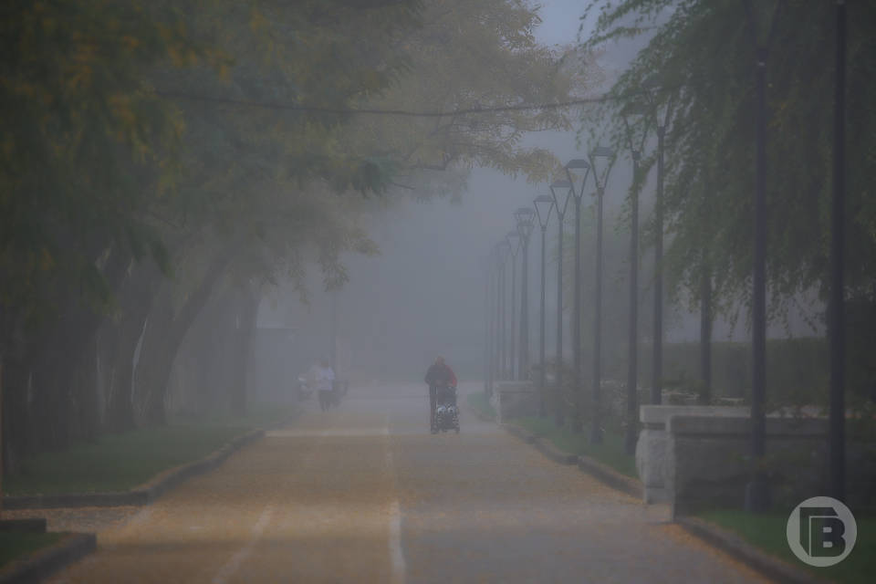 МЧС предупреждает о пыльных бурях в Волгоградской области в конце апреля