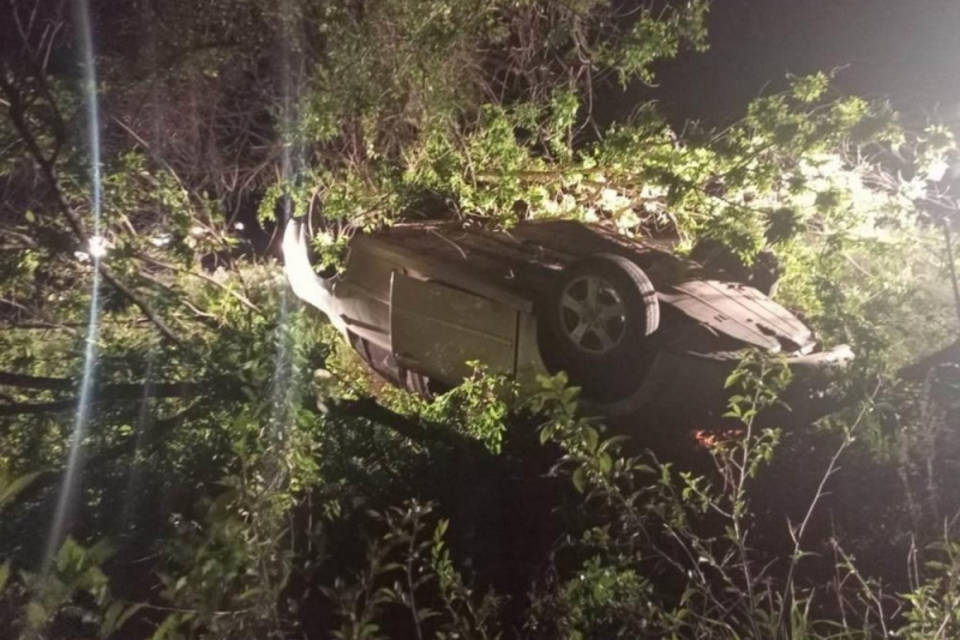38-летний водитель погиб после столкновения с деревом под Волгоградом