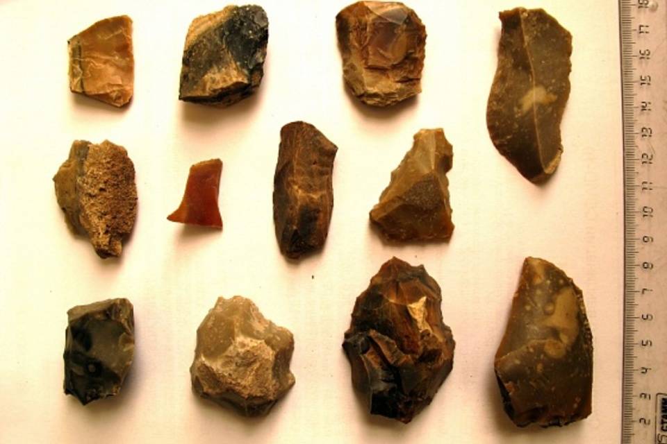 Волгоградские археологи нашли 1200 уникальных артефактов