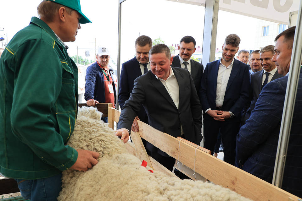 Волгоградская область принимает участие во Всероссийской выставке племенных овец и коз