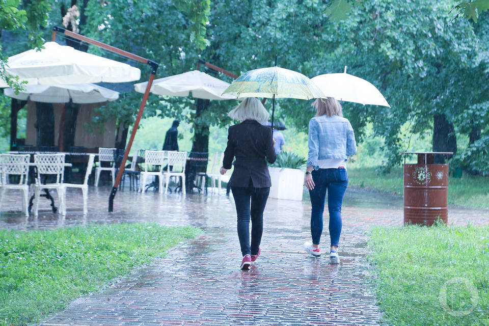 В Волгоградской области 1 июня пройдет дождь с грозой
