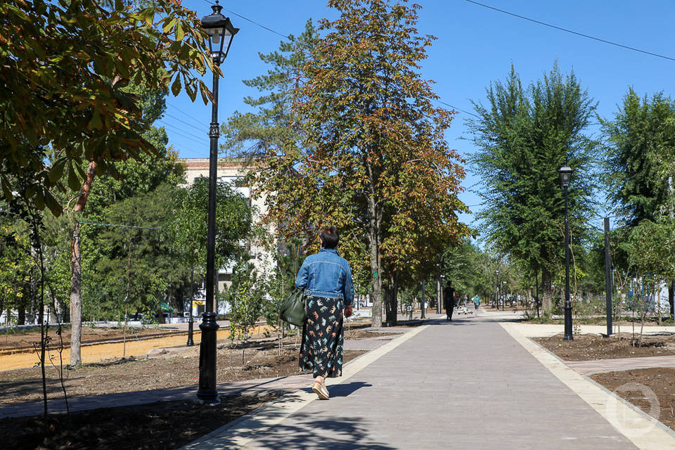 9 парков и скверов хотят облагородить жители Волгоградской области