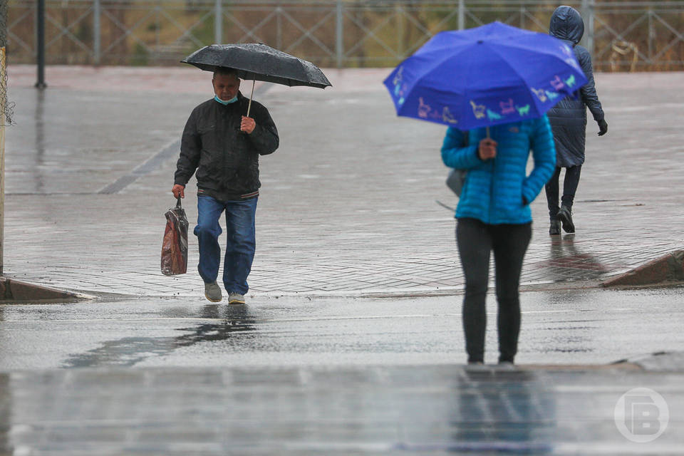 Под Волгоградом на северные районы обрушатся дожди