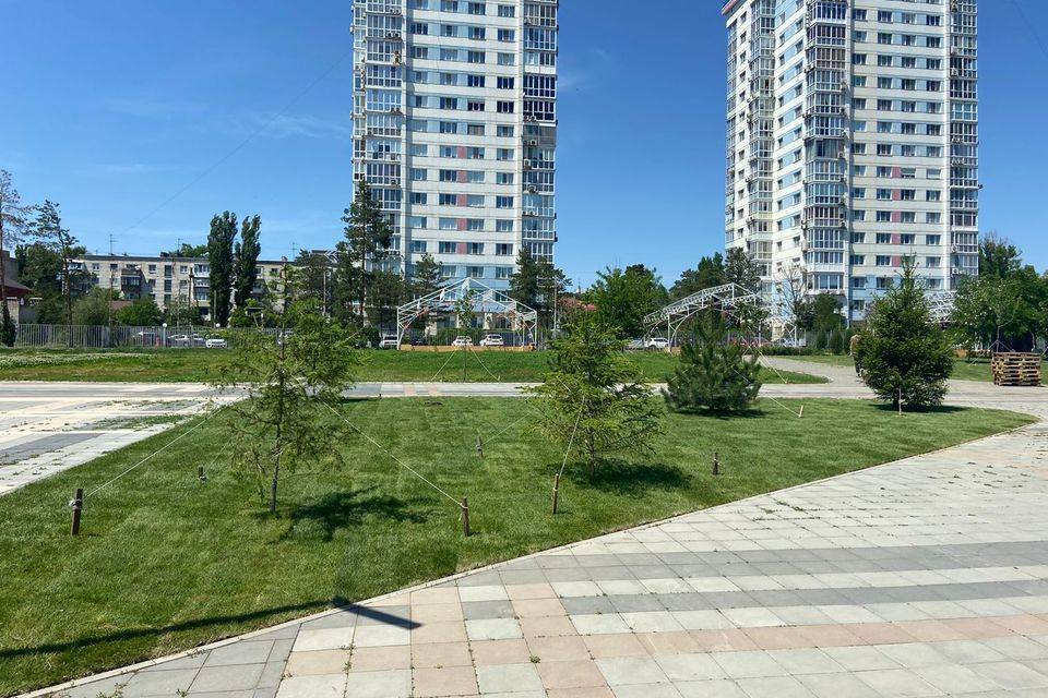 В Центральном парке культуры и отдыха Волгограда высадили последние саженцы деревьев