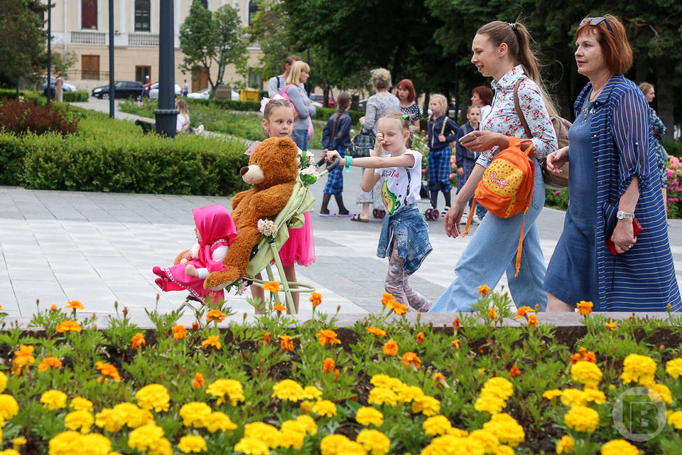 Жителям Волгоградской области пообещали устроить «Бархатный сезон»