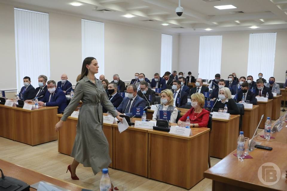 В Волгограде назначены довыборы в городскую думу