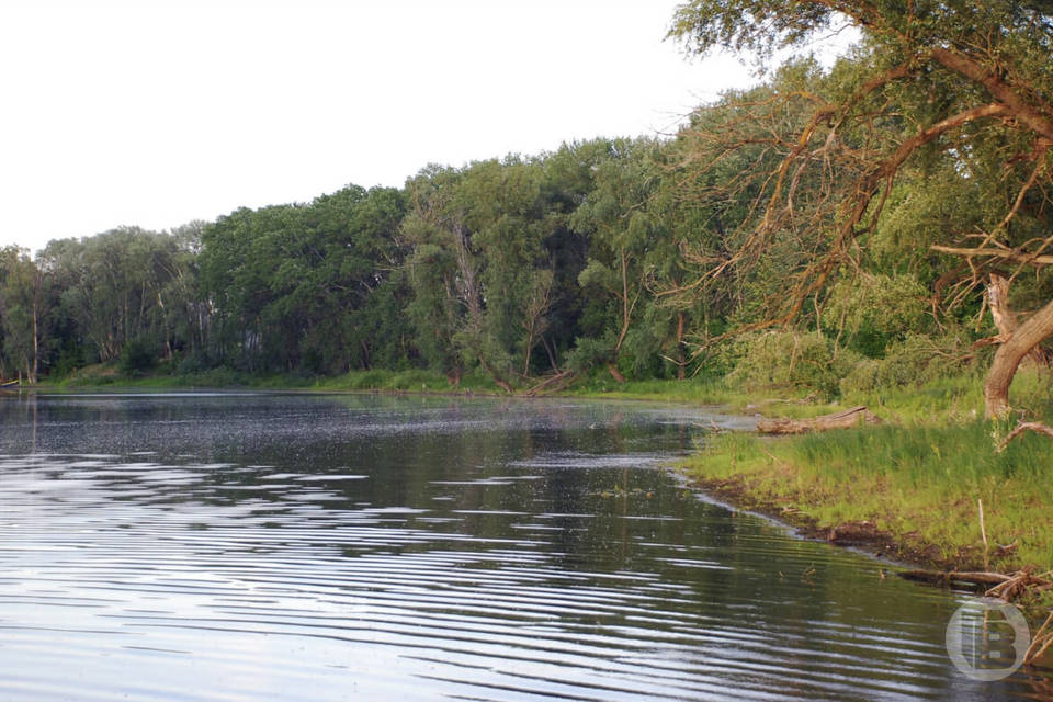 В Волгограде очистят 16 участков рек Донского бассейна