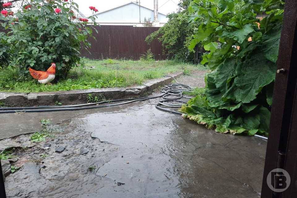 В Волгоградскую область 12 июля придут кратковременные дожди с грозами
