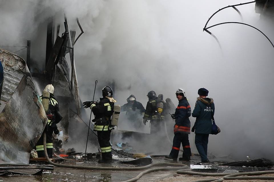 В Волгоградской области «Нива» сгорела вместе с гаражом