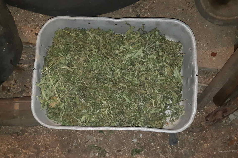 Под Волгоградом в доме мужчины нашли коробку с марихуаной и коноплей