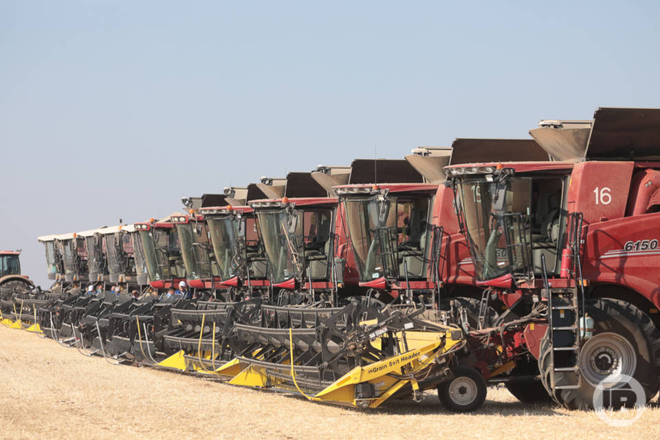 Высокая урожайность зерновых помогла волгоградским хлеборобам собрать 3 млн тонн зерна