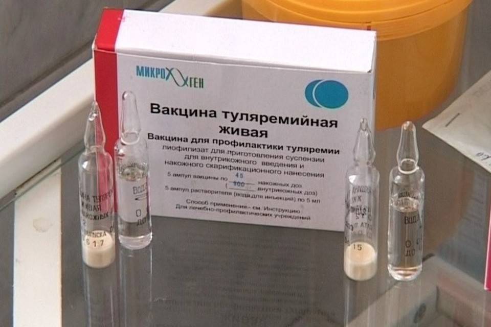 Волгоградская больница запасается вакциной от «малой чумы»