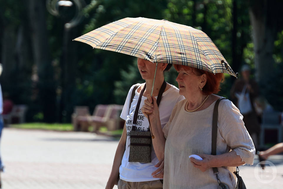 МЧС предупреждает жителей Волгоградской области о сильной жаре