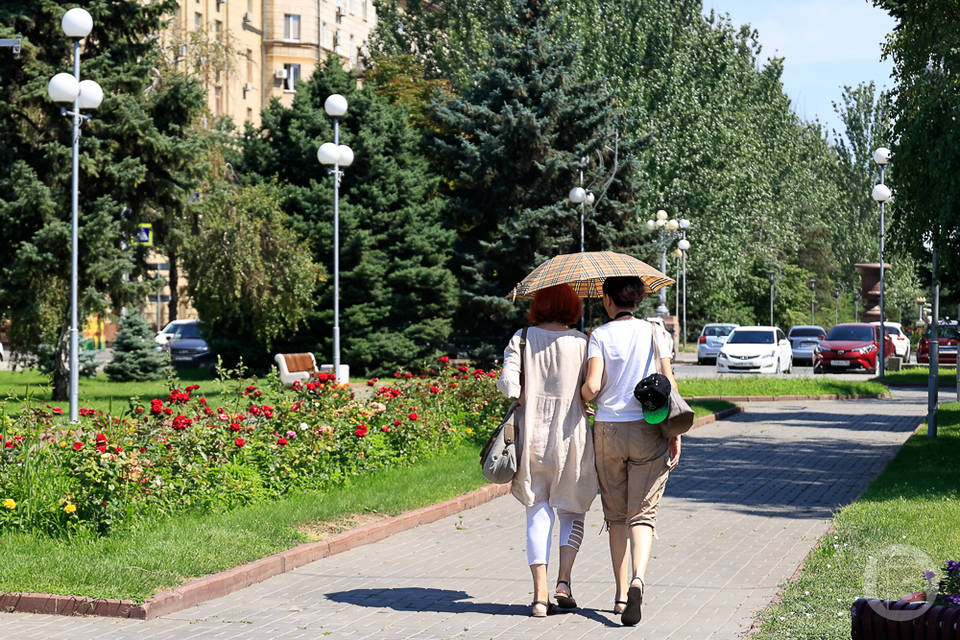 В Волгограде МЧС предупредило жителей об аномальной жаре