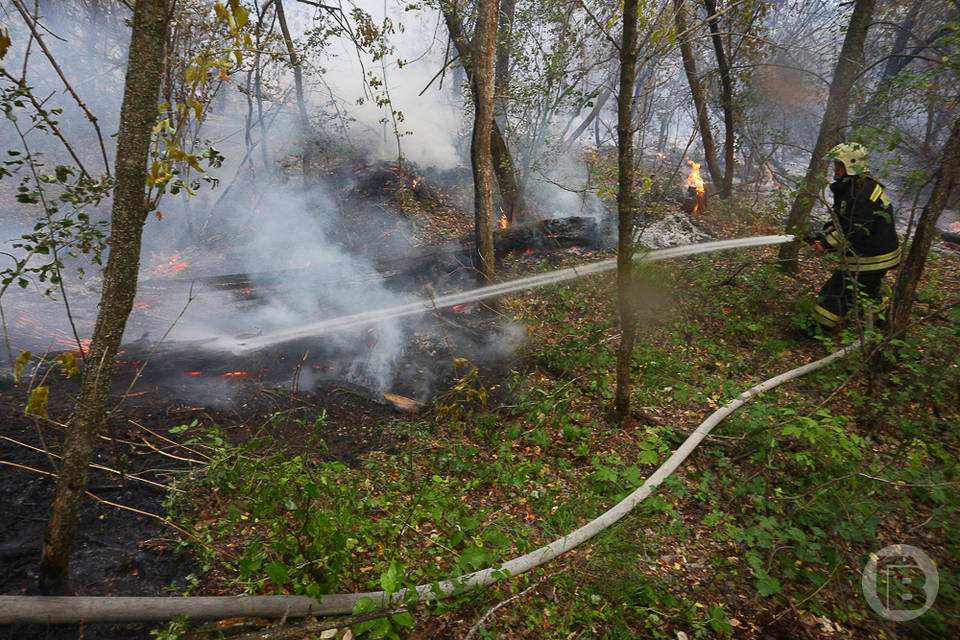 Чрезвычайная пожароопасность продолжает сохраняться в Волгоградской области