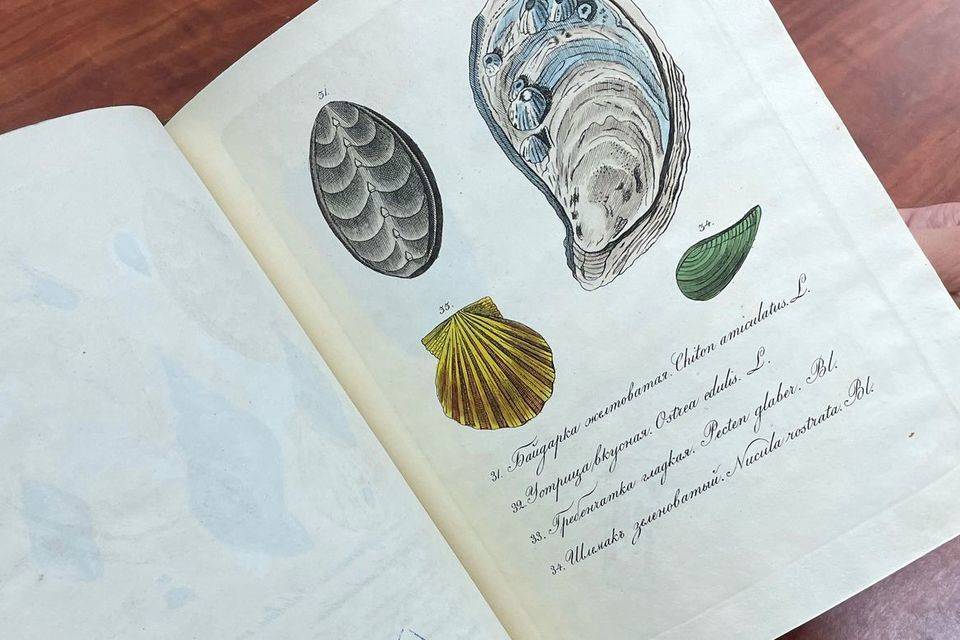 В волгоградской библиотеке оцифровали редкое издание о животных 1830 года