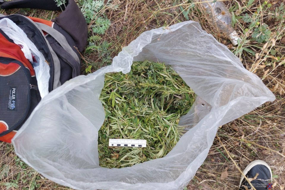 В Камышине по проселочной дороге гулял мужчина с пакетиком марихуаны