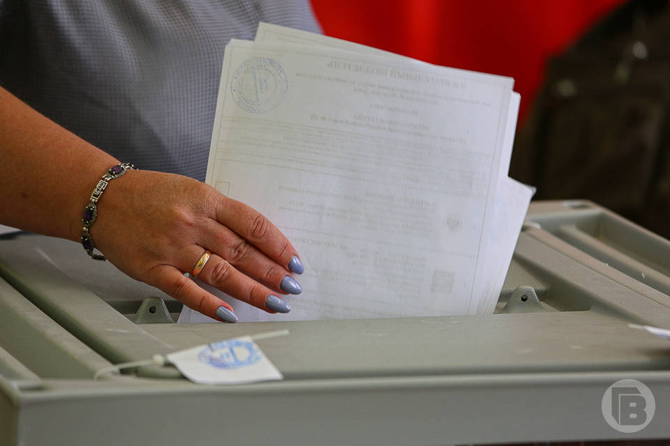 В Волгоградской области подвели итоги второго дня голосования