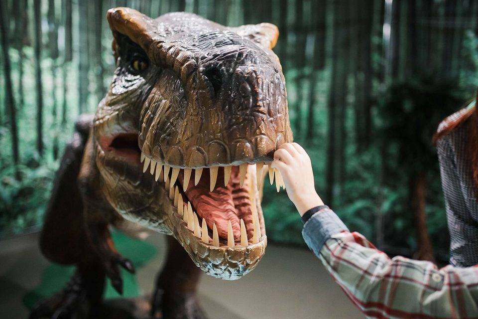 Волгоград готовится к «Нашествию динозавров»