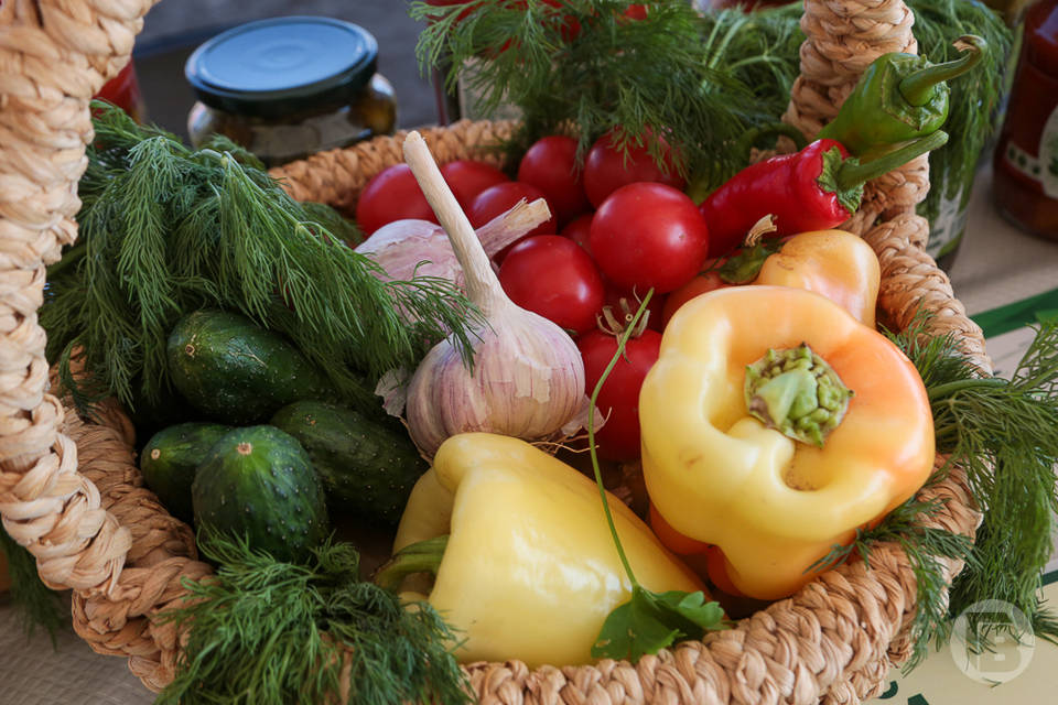 Аграрии Волгоградской области собрали почти 230 тысяч тонн овощей