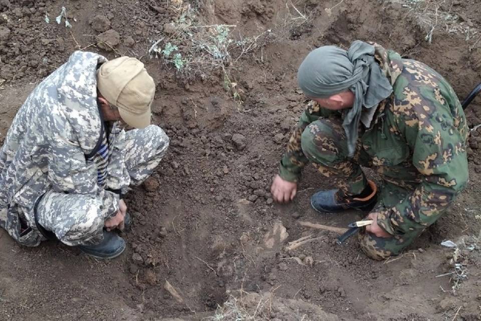 Поисковики под Волгоградом обнаружили останки погибшего в годы Сталинградской битвы бойца