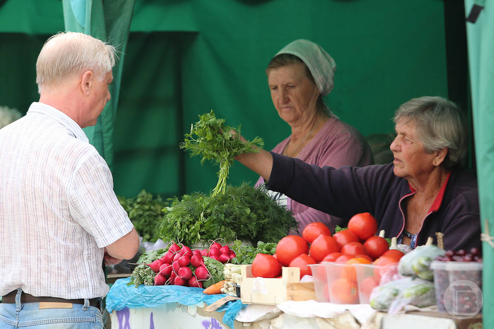 В Волгоградской области состоится фестиваль «День садовода»