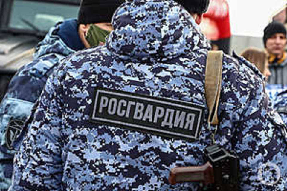 Волгоградцы получили ответ о мобилизации сотрудников МВД, Росгвардии и МЧС