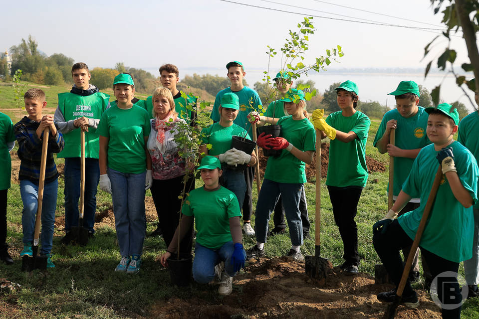 Юные волгоградцы в рамках экопроекта «Проросток» сделали городу «зеленый подарок»