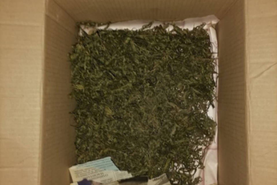 Под Волгоградом дома у 47-летнего мужчины нашли коробку с коноплей