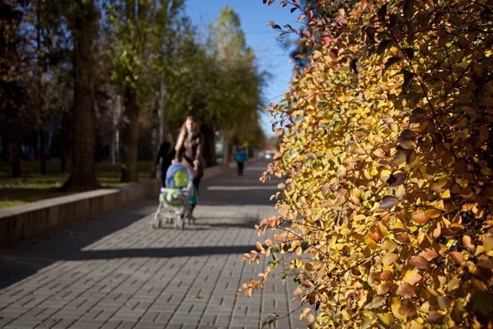 В 2023 году в Волгоградской области начнут выплачивать единое универсальное пособие для семей с детьми