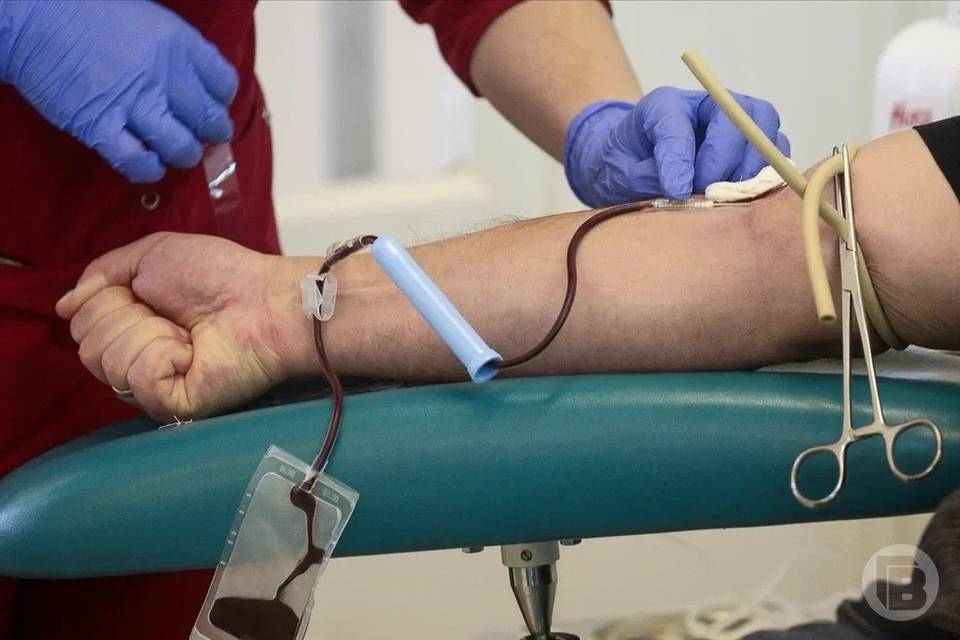 В Волгоградской области открылась школа для доноров крови