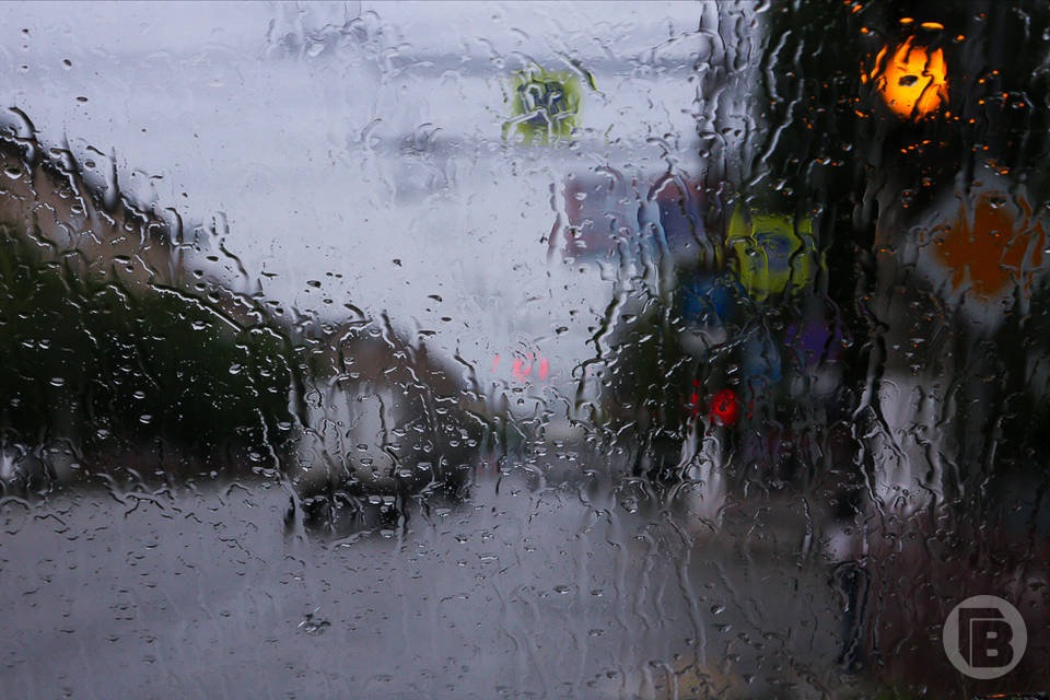 В Камышин придут похолодание и дожди