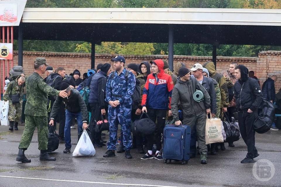 Премьер-министр РФ поручил проконтролировать работу с мобилизованными и их семьями в Волгоградской области