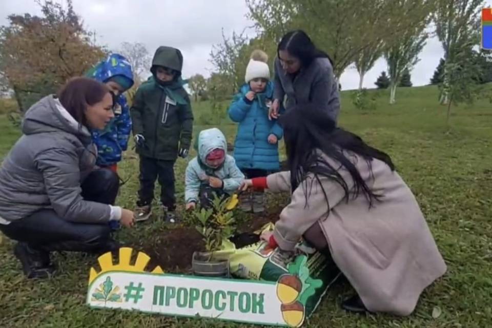 Школьники и детсадовцы посадили самостоятельно выращенные дубки и спиреи в Волгограде