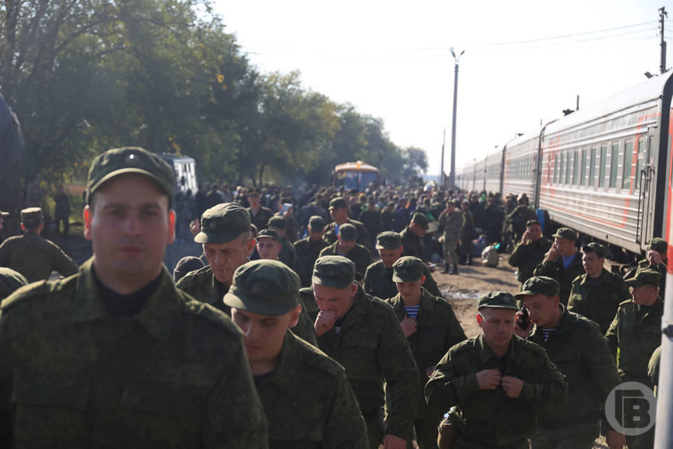 В Волгограде добровольцы, участвующие в СВО, получат статус ветерана боевых действий