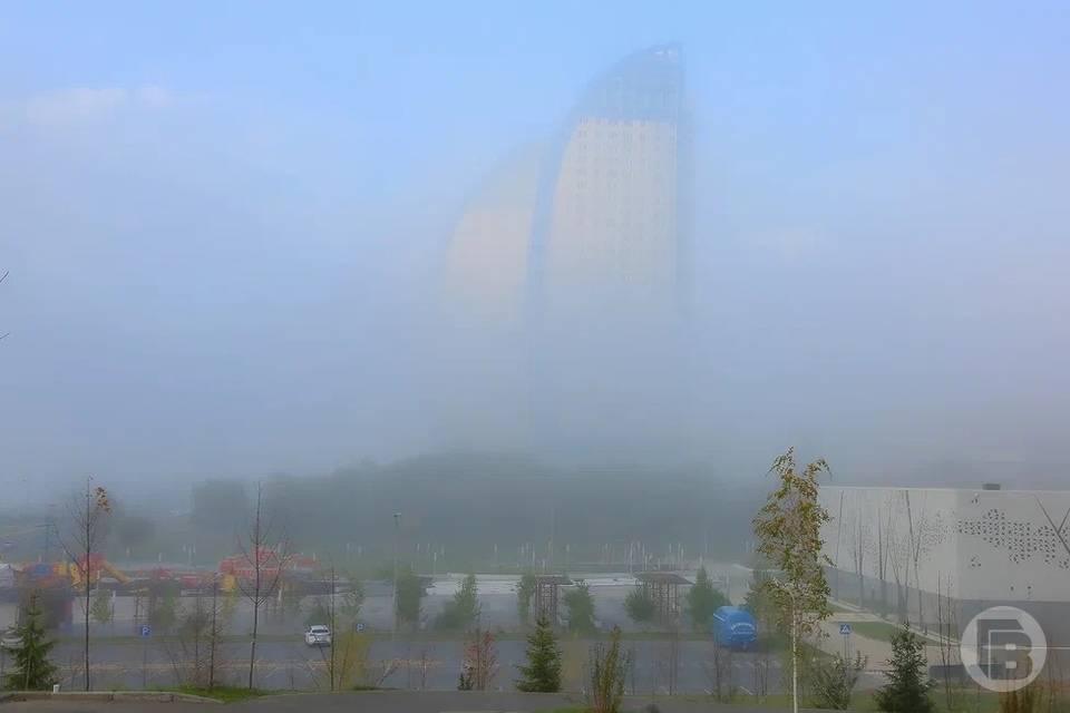 Рабочая неделя в Волгограде и области начнется с заморозков и тумана
