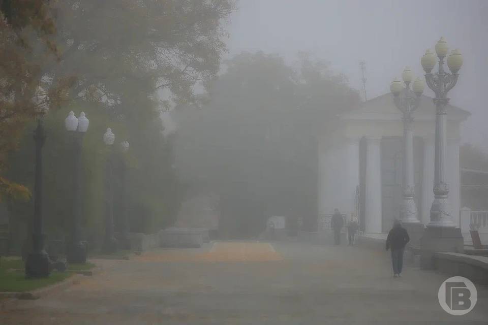 В Волгоградской области прогнозируется сильный туман на несколько дней