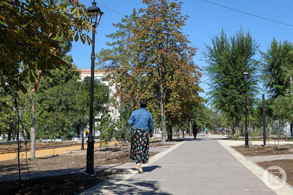 В Волгоградской области благоустраивают парки и дворы