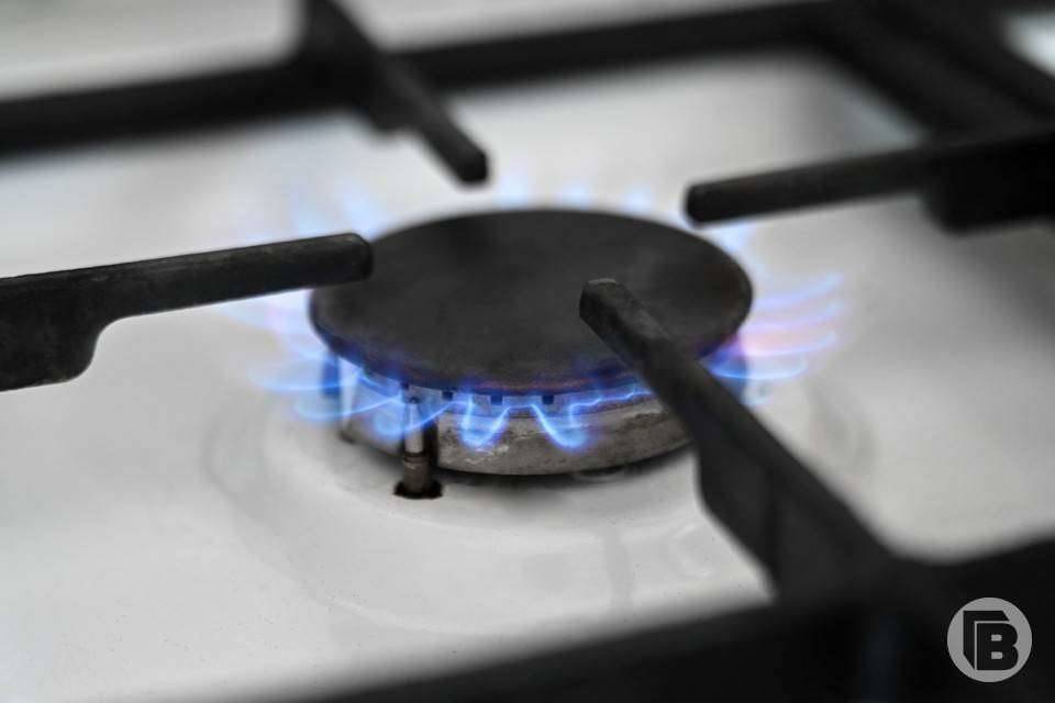 В двух районах Волгоградской области в конце ноября отключат газ