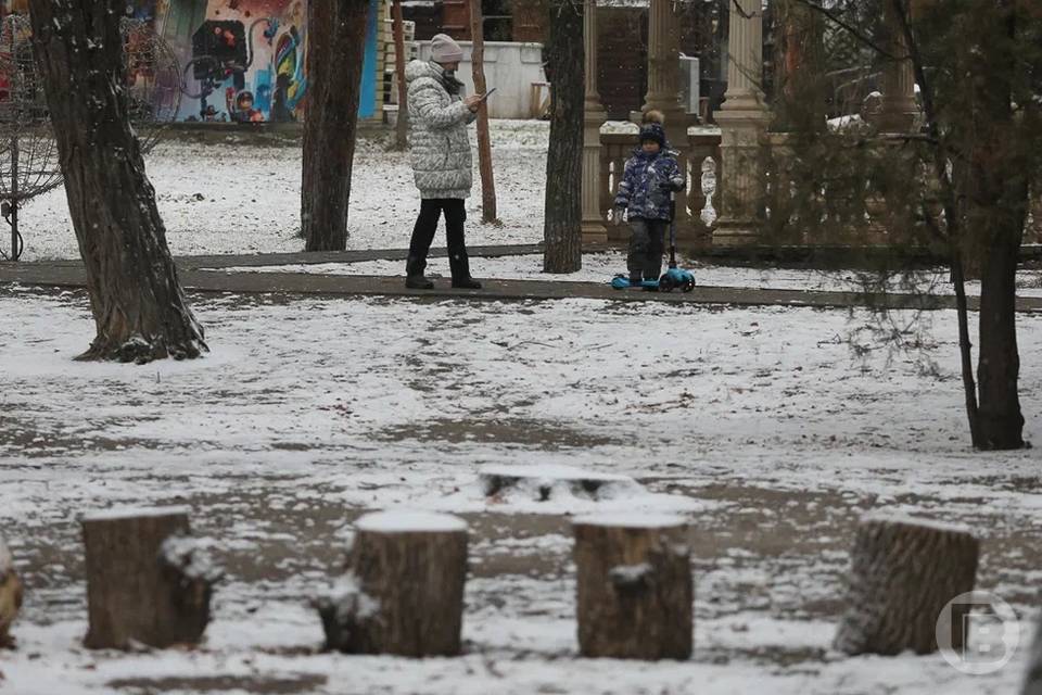 11 декабря в Волгоградской области сохранятся штормовой ветер, туман и гололед