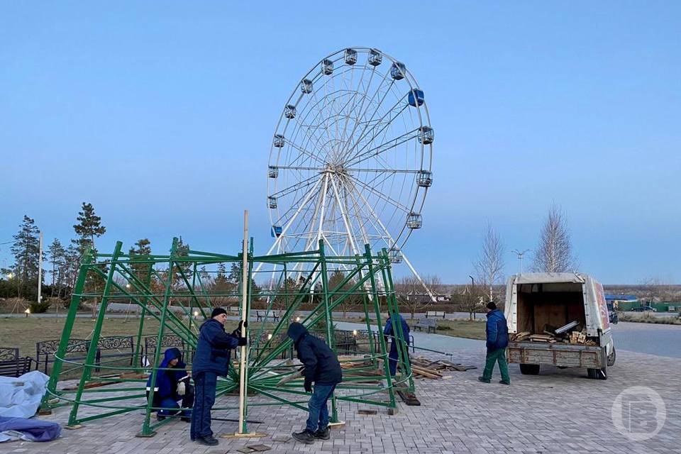 Главную новогоднюю елку Волгограда высотой 18 метров установят в ЦПКиО