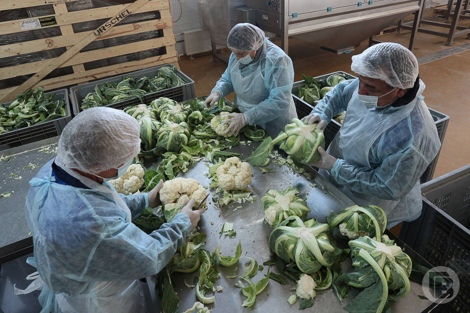 В Волгоградской области наблюдается рост производства пищевой промышленности