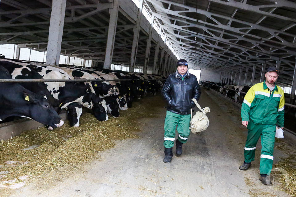 В Волгоградской области благодаря господдержке растет количество фермеров